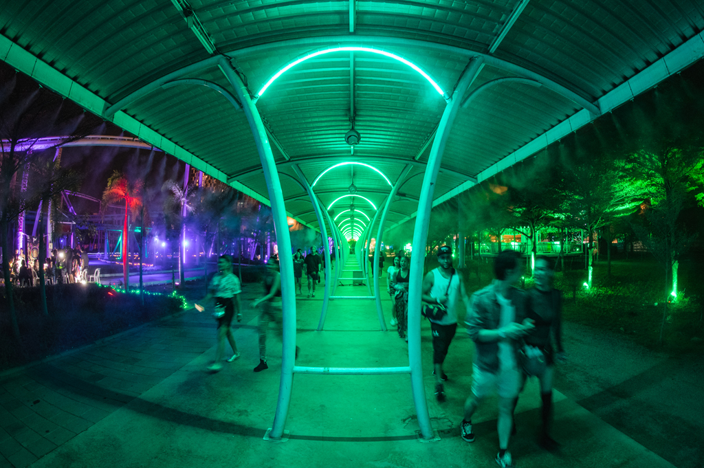 Dropzone — Crowd and DJ — floor energy